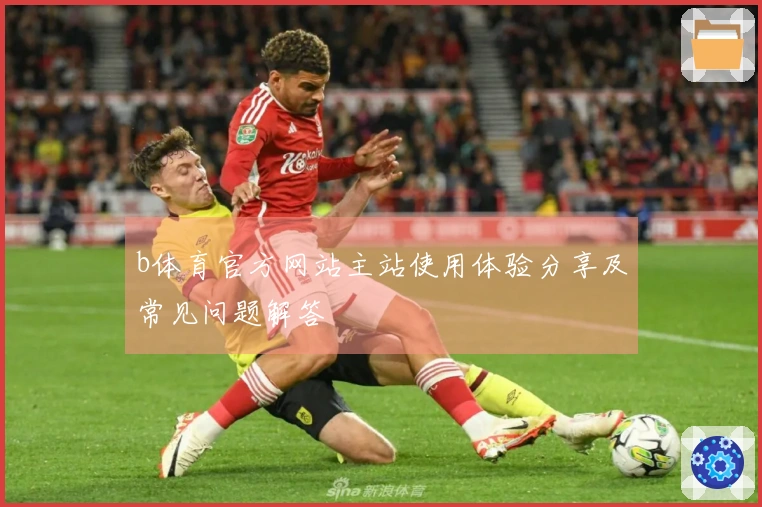 b体育官方网站主站使用体验分享及常见问题解答