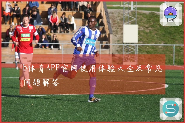 b体育APP官网使用体验大全及常见问题解答
