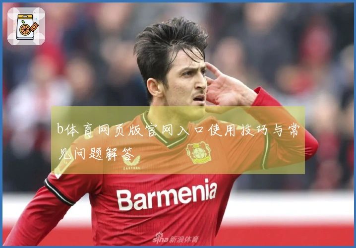 b体育网页版官网入口使用技巧与常见问题解答