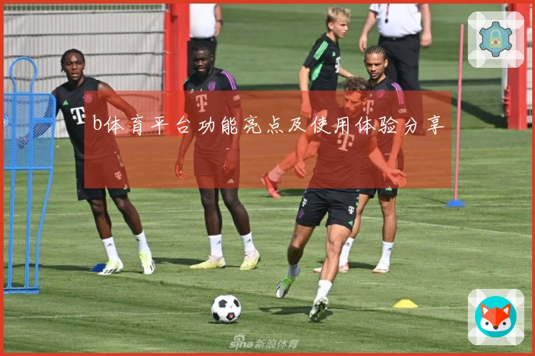 b体育平台功能亮点及使用体验分享