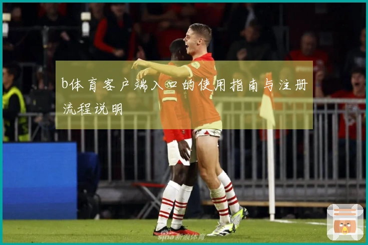 b体育客户端入口的使用指南与注册流程说明