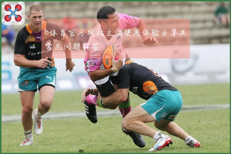 b体育官方网站主站使用体验分享及常见问题解答