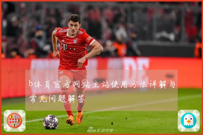 b体育官方网站主站使用方法详解与常见问题解答