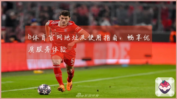b体育官网地址及使用指南，畅享优质服务体验