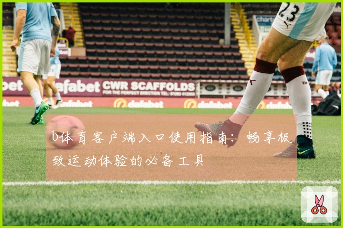 b体育客户端入口使用指南：畅享极致运动体验的必备工具