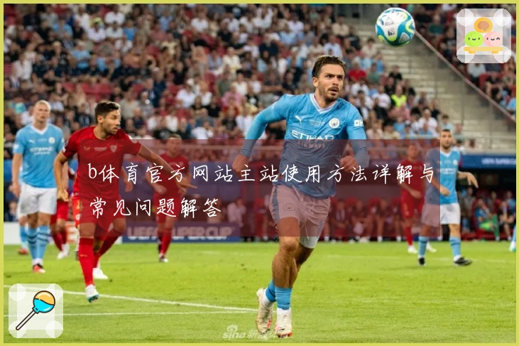 b体育官方网站主站使用方法详解与常见问题解答