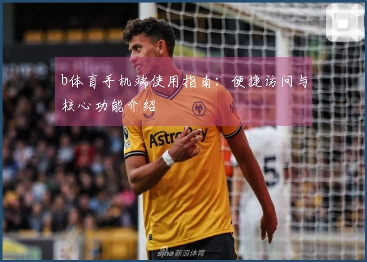 b体育手机端使用指南：便捷访问与核心功能介绍